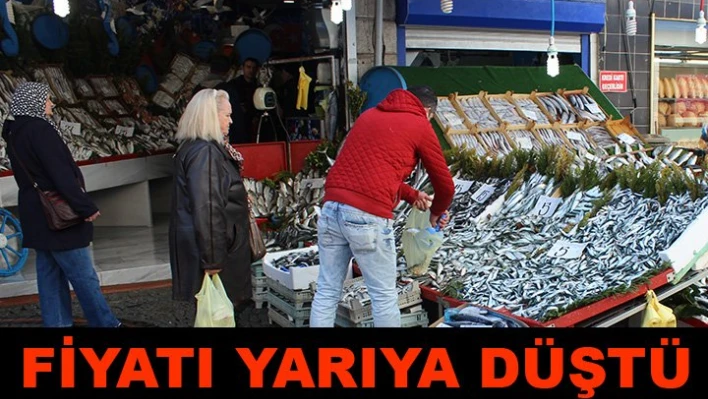 Sardalya bolluğu