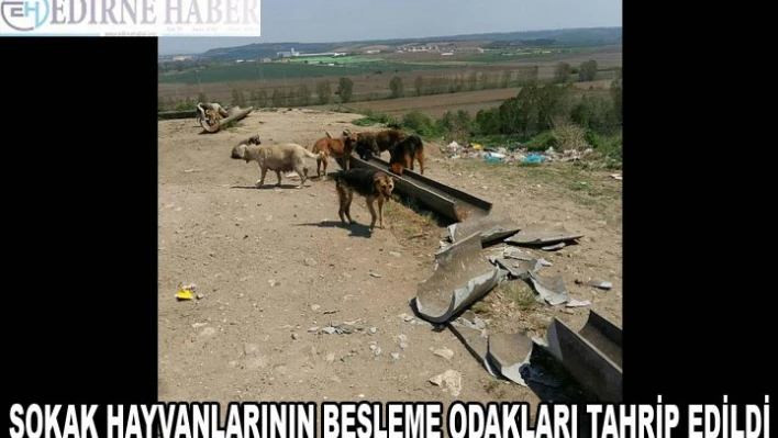 Besleme odakları tahrip edildi