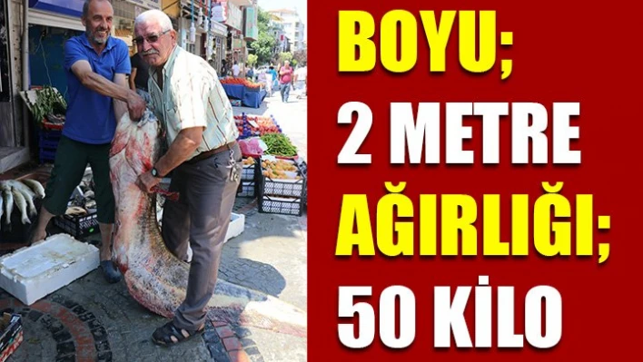 2 metrelik balık