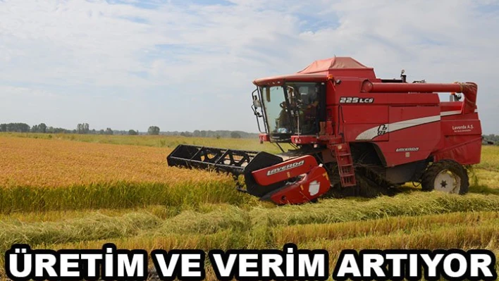 Üretim ve verim artıyor
