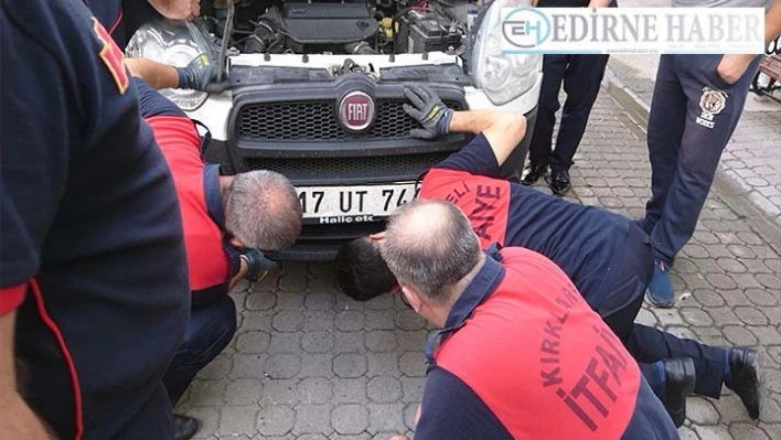 Kedi kurtarma operasyonu