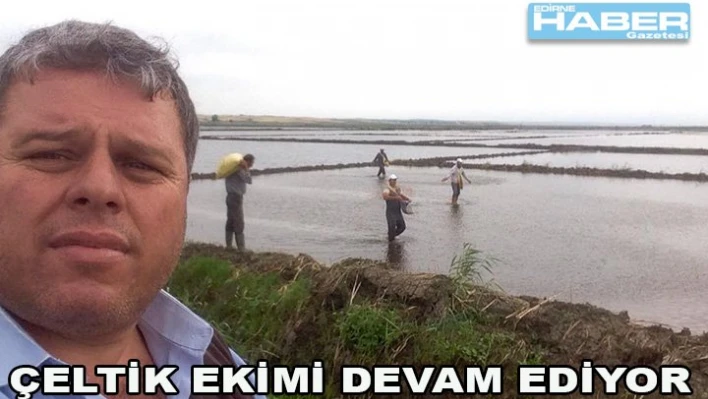 Çeltik ekimi devam ediyor
