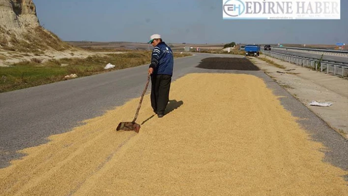 Çiftçi çeltiği kurutmak için 'yan yollara' giriyor