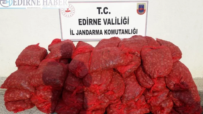 1 ton kaçak midye ele geçirildi