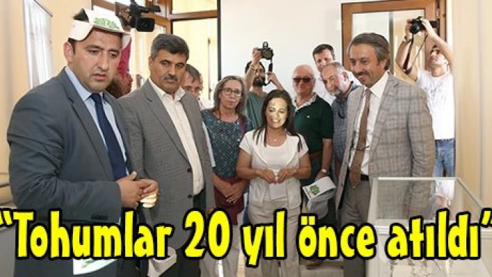 'Tohumlar 20 yıl önce atıldı'