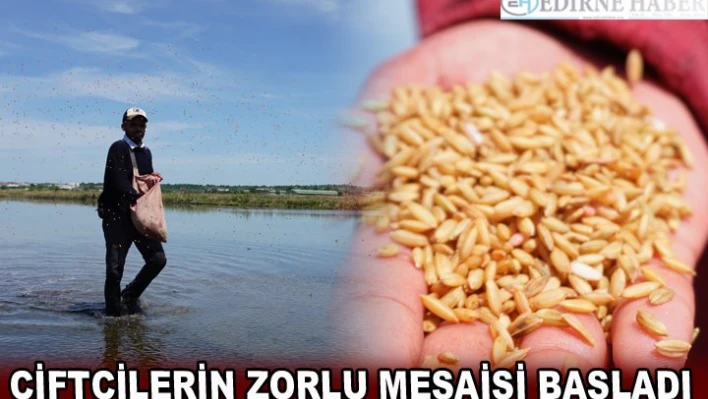 ÇİFTÇİLERİN ZORLU MESAİSİ BAŞLADI