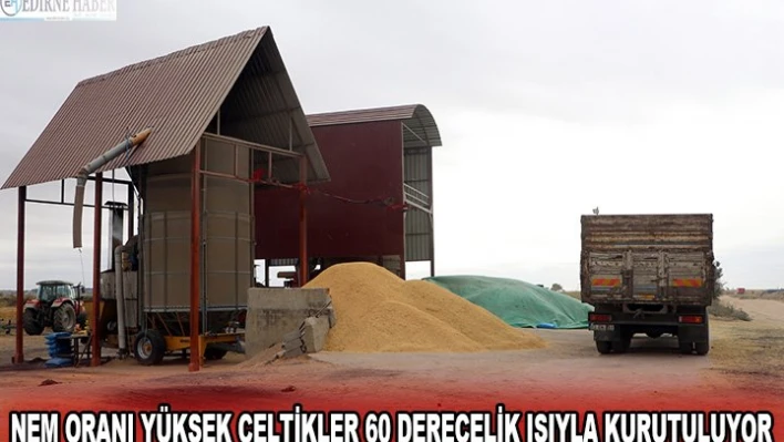  Nem oranı yüksek çeltikler 60 derecelik ısıyla kurutuluyor