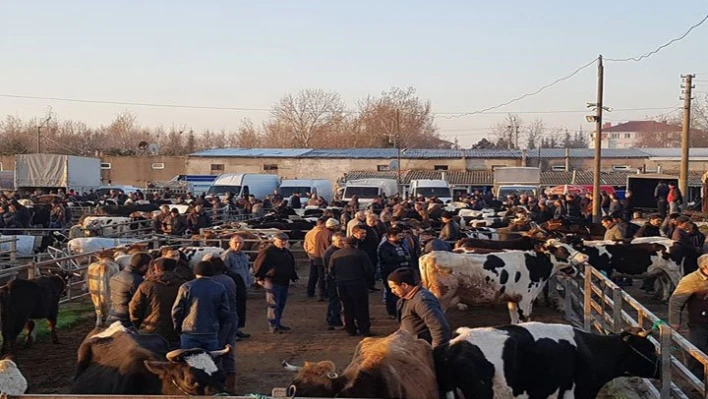 'Pazar canlanıyor'
