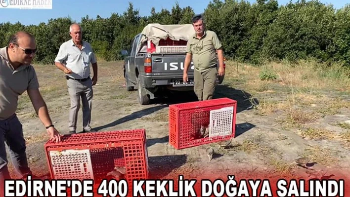 Edirne'de 400 keklik doğaya salındı