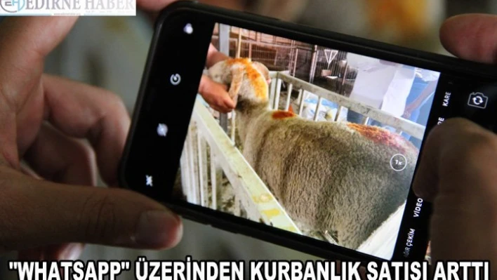 'WhatsApp' üzerinden kurbanlık satışı arttı