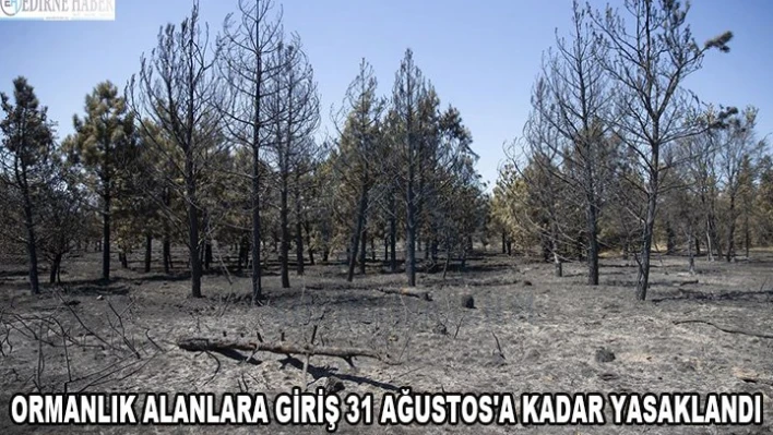 Ormanlık alanlara giriş 31 Ağustos'a kadar yasaklandı