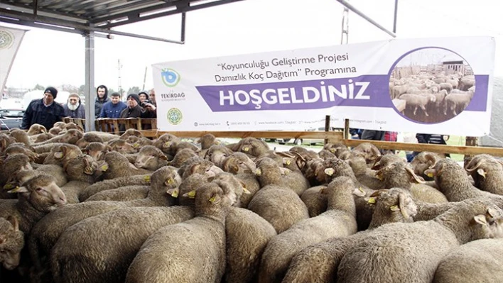 Üreticilere destek