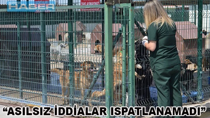 â€˜Tek hayvan sever sizler değilsiniz'