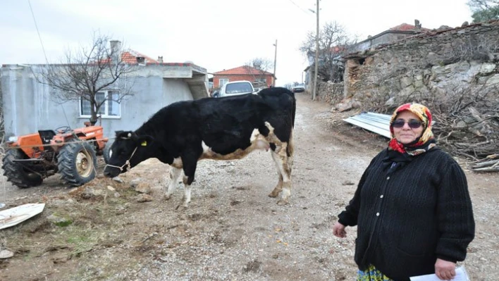 Alacasına kavuştu