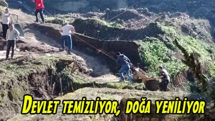 Devlet temizliyor, doğa yeniliyor
