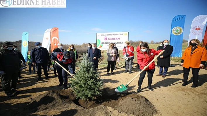 Kırklareli'nde 8 Mart Dünya Kadınlar Günü dolayısıyla 'Mercan Ormanı' oluşturuldu