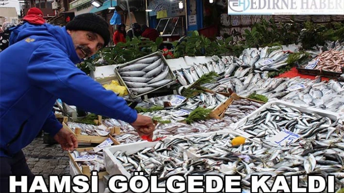 Sardalya ucuzlayınca hamsi gölgede kaldı