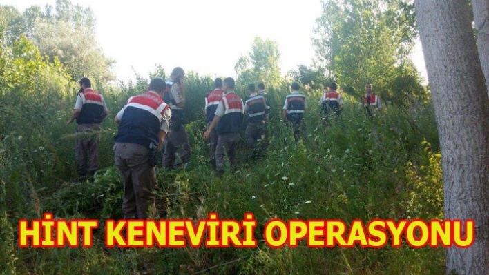 Hint keneviri operasyonu