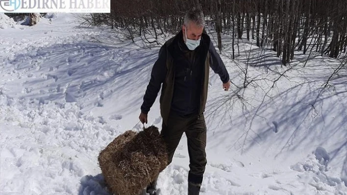  Doğaya 16 ton 595 kilogram yem bırakıldı