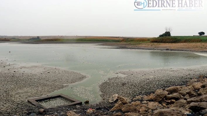 Sağanak, göletteki balıklara 'can suyu' oldu