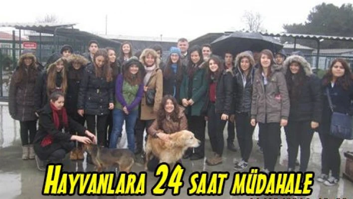 Hayvanlara 24 saat müdahale