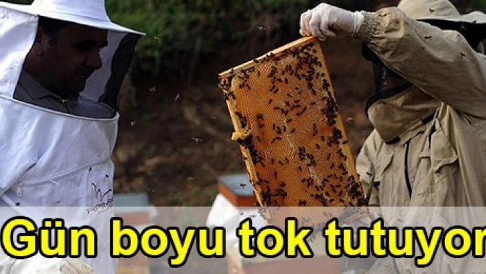 Gün boyu tok tutuyor