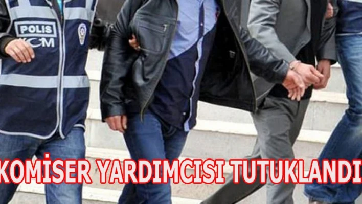 Bylock Â ele verdi