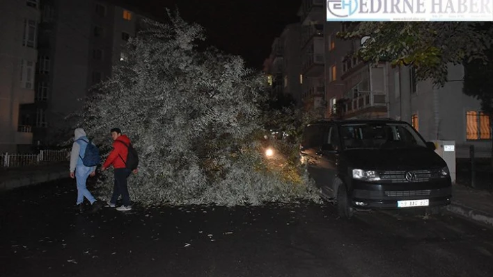 Çürüyen ağacın yola devrilmesi güvenlik kamerasında