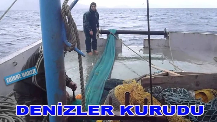 Denizler kirleniyor, Balık tükeniyor
