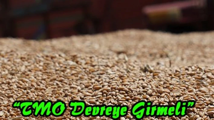 'TMO Devreye Girmeli'