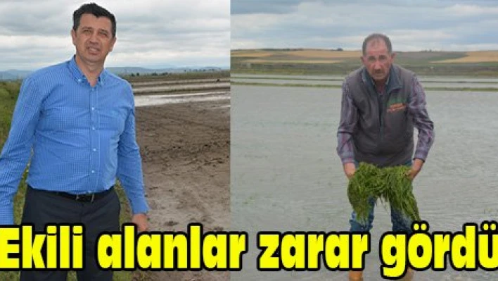 Ekili alanlar zarar gördü