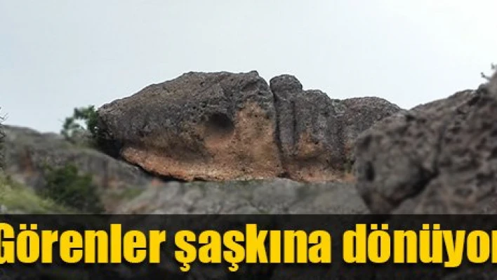 Fosiller  bulundu