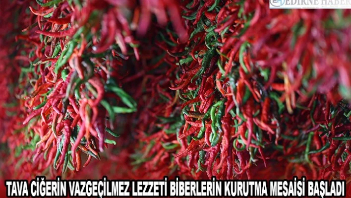 TAVA CİĞERİN VAZGEÇİLMEZ LEZZETİ BİBERLERİN KURUTMA MESAİSİ BAŞLADI