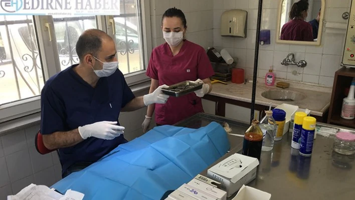 Keşan, Veterinerlik İşleri çalışmalarını açıkladı