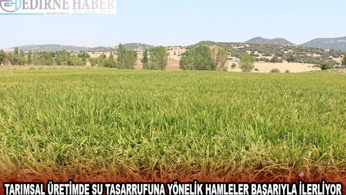 Edirne'de tarımsal üretimde su tasarrufuna yönelik hamleler başarıyla ilerliyor