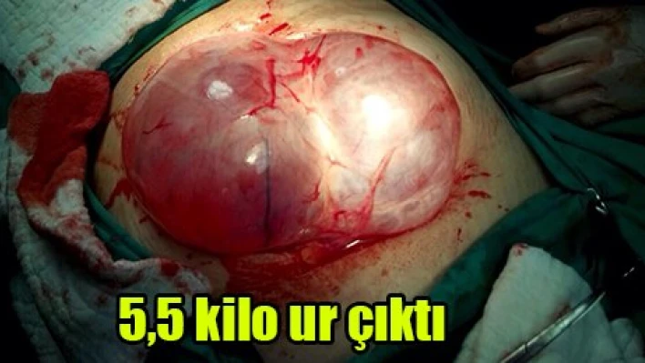 5,5 kilo ur çıktı