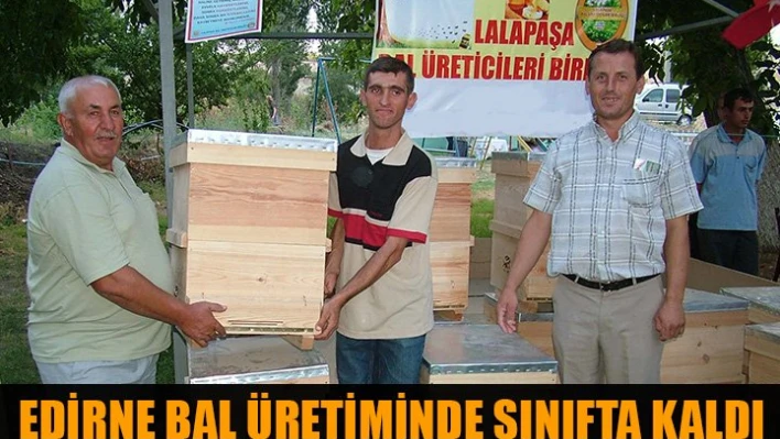 Bal ormanı var, Bal yok