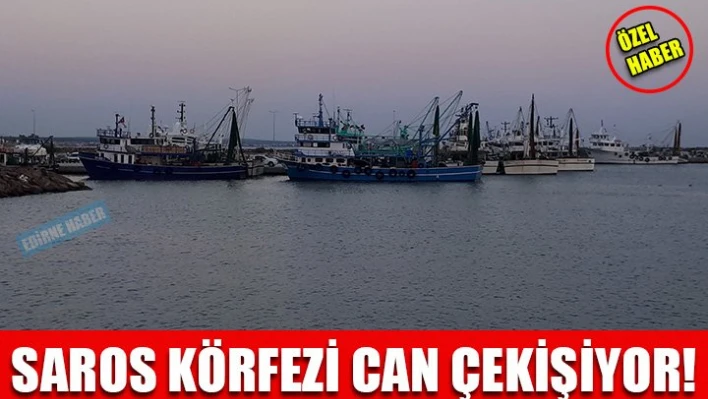 'Sadece Vatoz çıkıyor'