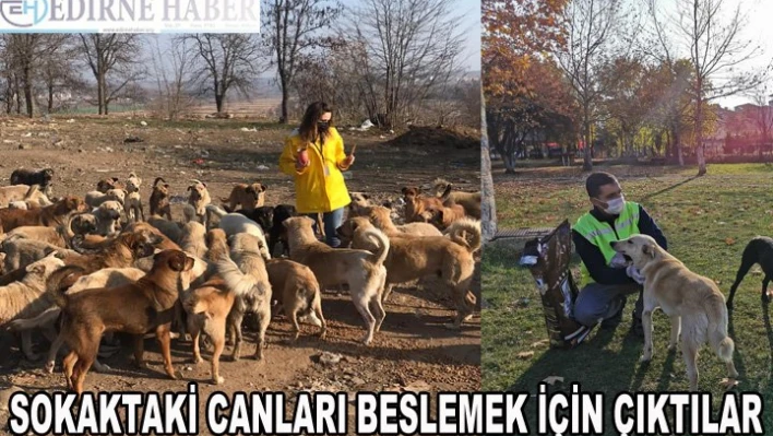 'Sokak hayvanlarını beslemek için' çıktılar