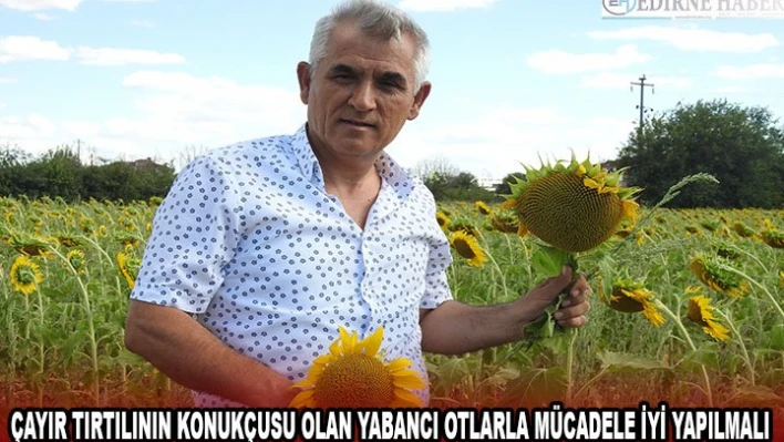 Çayır tırtılının konukçusu olan yabancı otlarla mücadele iyi yapılmalı