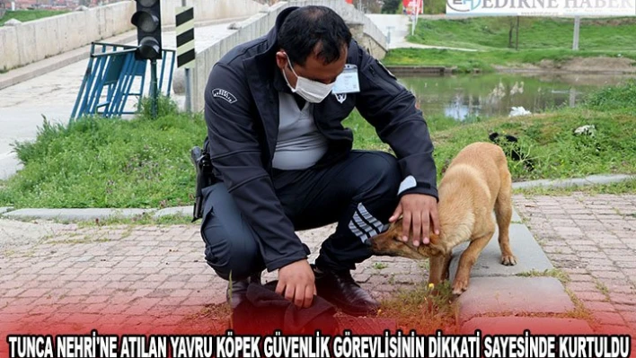 Tunca Nehri'ne atılan yavru köpek güvenlik görevlisinin dikkati sayesinde kurtuldu