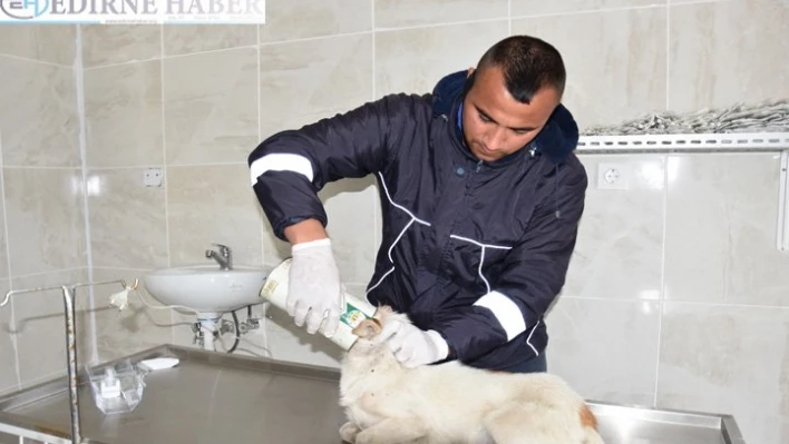 Kafası teneke kutuya sıkıştı