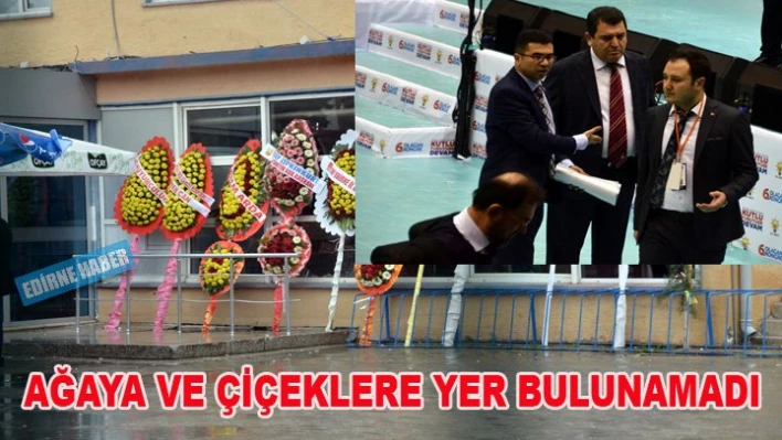 Güvenlik önlemleri, Çiçekleri ve Ağayı dışarıda bıraktı.