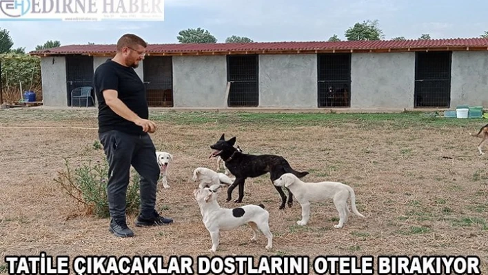 Tatile çıkacaklar dostlarını otele bırakıyor