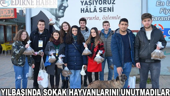 YILBAŞINDA SOKAK HAYVANLARINI UNUTMADILAR