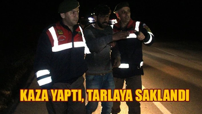 Kaza yaptı, tarlaya saklandı