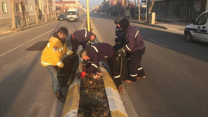 Bahar hazırlıkları başladı