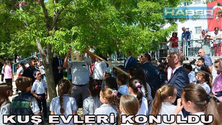 Bahçelere Kuş Evleri Konuldu