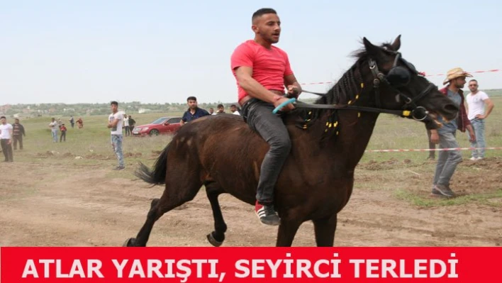 Atlar koştu, sahipleri terledi