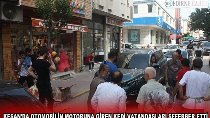 KEŞAN'DA OTOMOBİLİN MOTORUNA GİREN KEDİ VATANDAŞLARI SEFERBER ETTİ